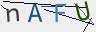 Click Refresh